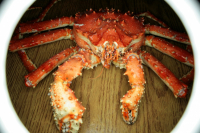 краб перед обедом (моим)