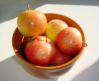 МИНИТЫБЛАКТИ