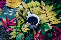 Краски осени