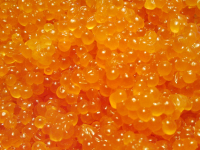 Дары наших рек и морей