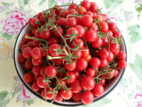 утренний урожай