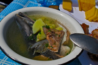 летняя, рыбалошная