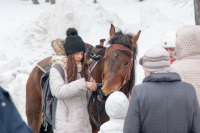 мастер дел лошадных