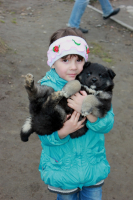 мохнатые друзья детства