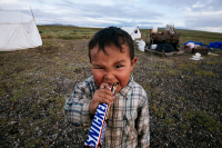 Ты- не ты, когда голоден!!!