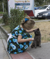 Туся и кися