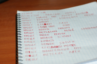 С новым готом