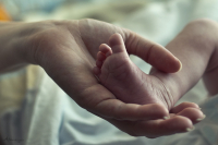 Нежность ...