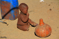 Африканские заристовки