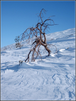 Плато ветров