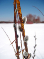 Жизнь продолжается...