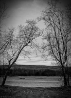 ..размышления на берегу реки