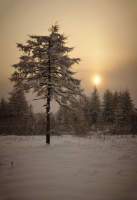 Заходящая Надежда