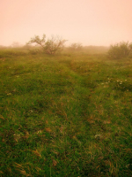 Звериной Тропой