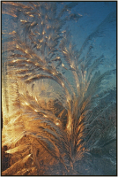 Рисунки на окнах