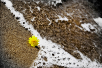 летние истории