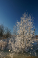 зимние узоры