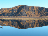 отражение...