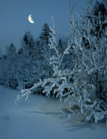 С Новым годом!!!