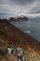 бухта Тихая...