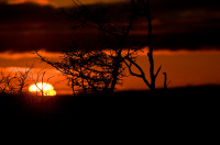 о закатах...