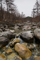 о шумных ручьях...