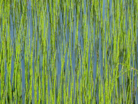 Отгадайте- что это и где это?