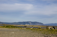 Устье реки Ола. Август 2010