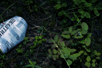 Муха как БЭ намекает