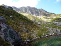 Вечное спокойствие