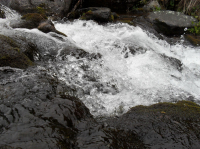 ручей в б. Светлой