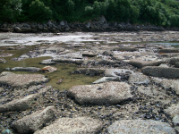 СОЛНЕЧНЫЙ ОТЛИВ