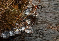 Два состояния вещества