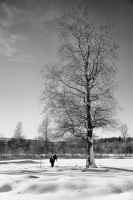 Большое видится на расстоянии