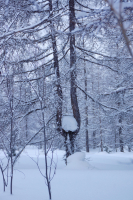 ***забавы великанов***