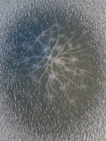 Звёзды на льду