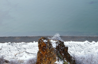 посеянные на скале