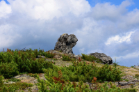 Дракон проснулся!