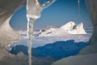 Грянула весна