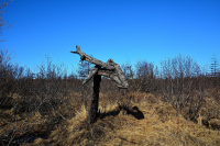 Печальный дракон.