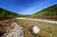 между сопок