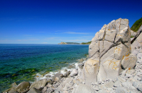 по бережку до птичьего острова