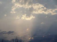 За минуту до грозы