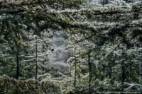 утро нового дня