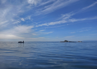 Минимализм