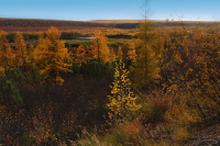 про фантазии колымской осени