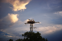 Подзарядка?)