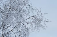 Небесная вышивка