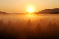 Вечернее солнце