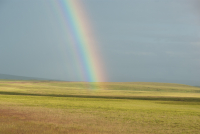 После дождя